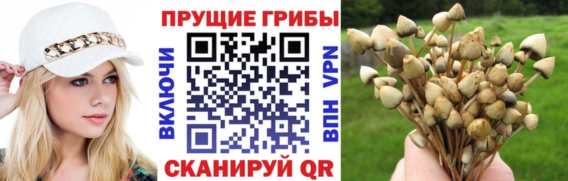 OMG онион  Альметьевск  Галлюциногенные грибы мухоморы 